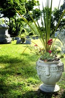 newgroningen3-resized