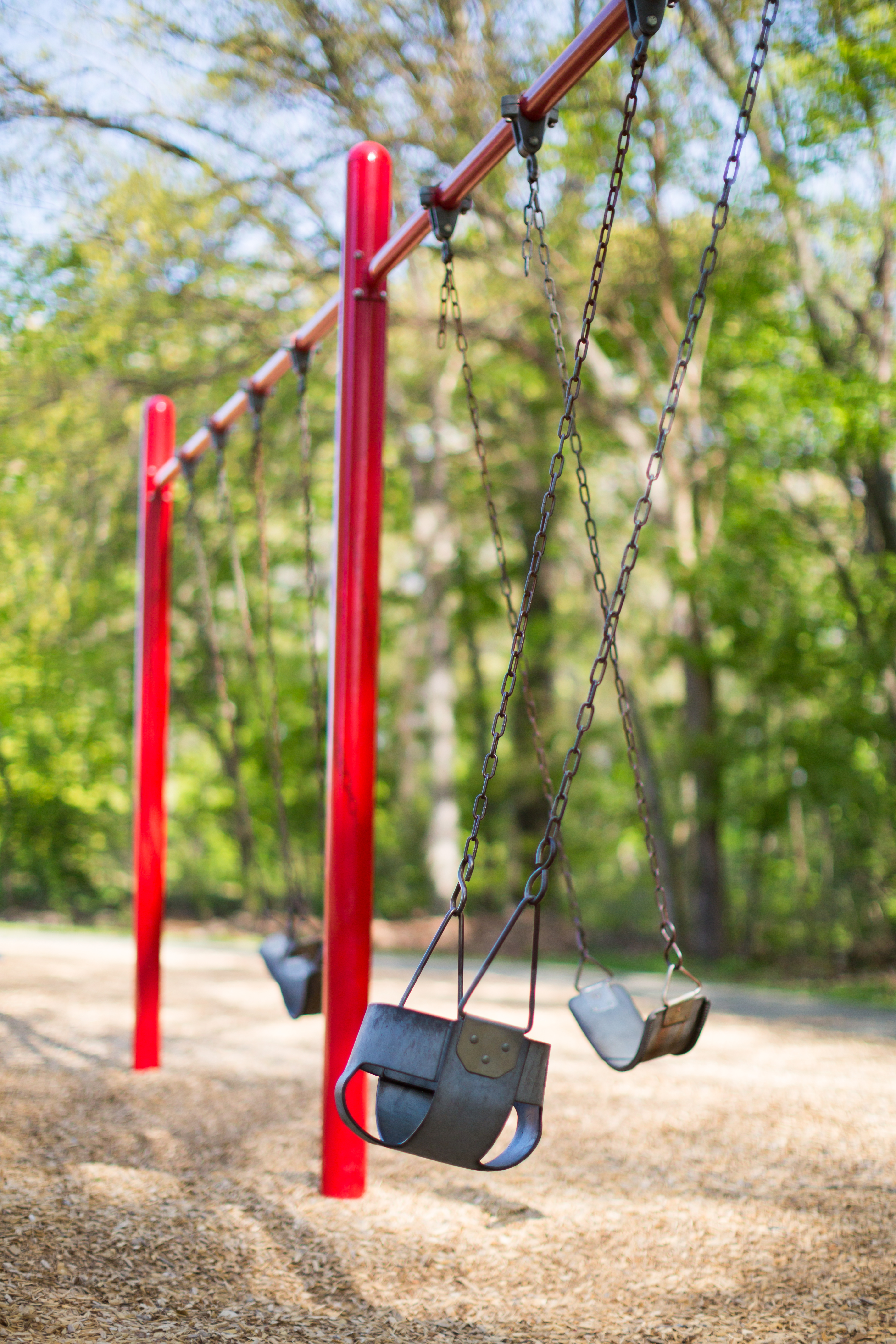 Beechwood0335.jpg