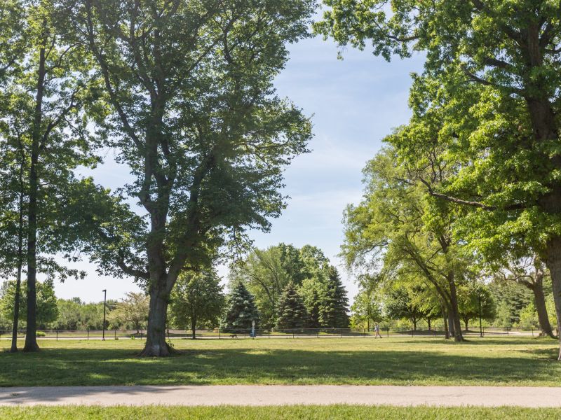 Quincy Park Dog Park