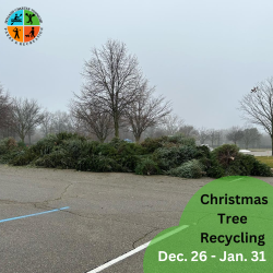 thumbnail Xmas Tree Recycling Dec 26 Jan 31